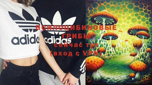 PSILOCYBIN Липки
