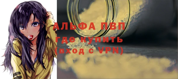 ПСИЛОЦИБИНОВЫЕ ГРИБЫ Лихославль