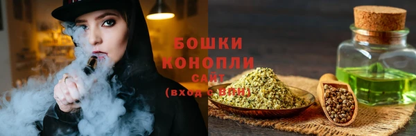PSILOCYBIN Липки