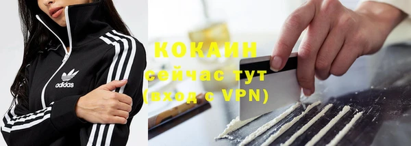 ПСИЛОЦИБИНОВЫЕ ГРИБЫ Лихославль