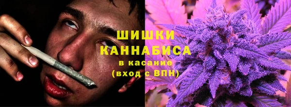 первитин Ладушкин