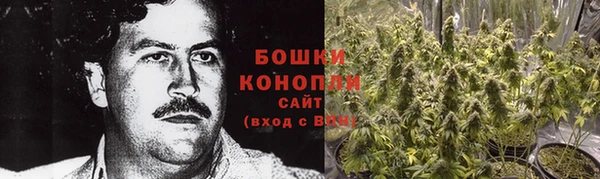 ПСИЛОЦИБИНОВЫЕ ГРИБЫ Лихославль