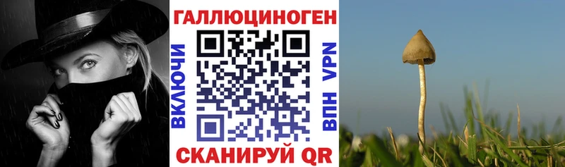 Галлюциногенные грибы GOLDEN TEACHER Назарово