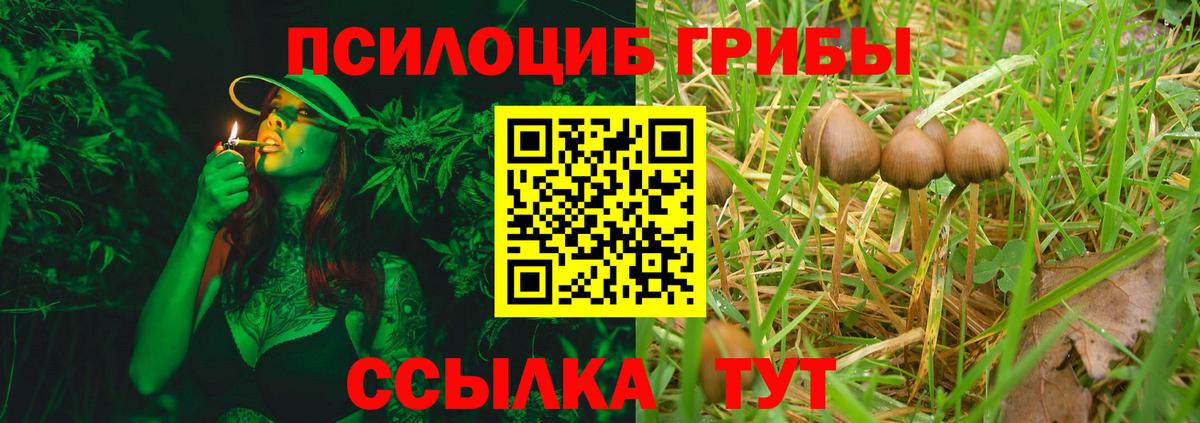 где купить наркотик  Галлюциногенные грибы GOLDEN TEACHER  Назарово  Вход с VPN  Псилоцибиновые грибы GOLDEN TEACHER 