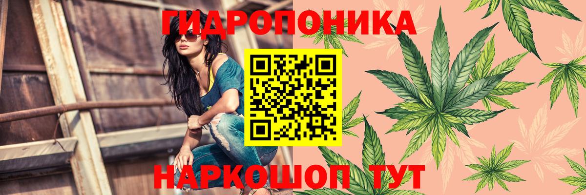 Бошки Шишки Amnesia Назарово